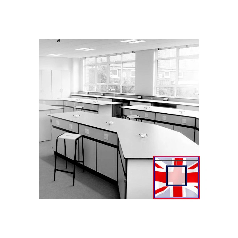 Laboratory Stool, Wooden Top (School Lab High Chair) for sale online in UK