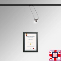 Certificate Frame Display Kit - Diploma Frame, Picture Rail & Lighting (Complete Hanging System) for sale online in UK