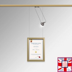 Certificate Frame Display Kit - Diploma Frame, Picture Rail & Lighting (Complete Hanging System) for sale online in UK