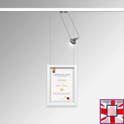 Certificate Frame Display Kit - Diploma Frame, Picture Rail & Lighting (Complete Hanging System)